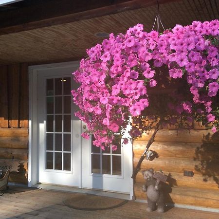 Denali Fireside Cabin & Suites ทัลคีทนา ภายนอก รูปภาพ