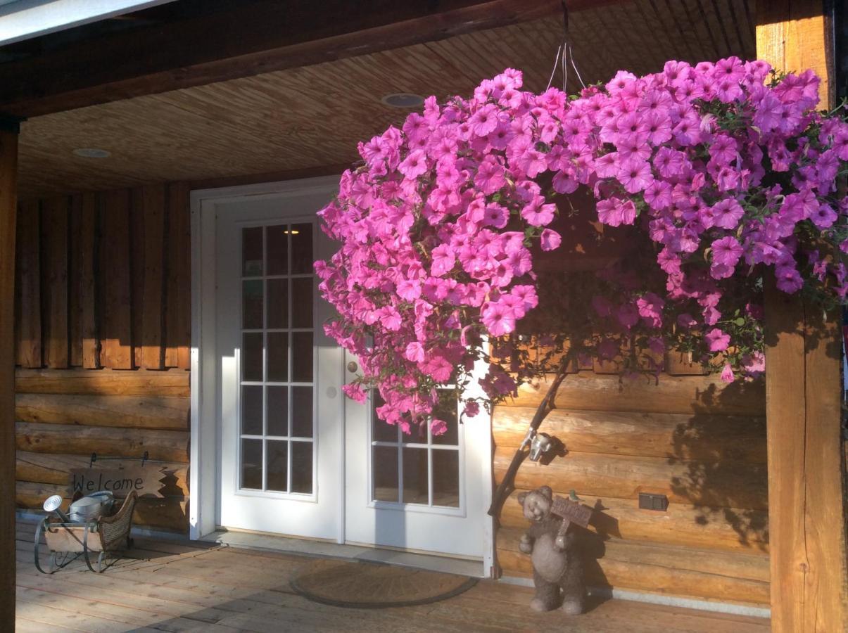 Denali Fireside Cabin & Suites ทัลคีทนา ภายนอก รูปภาพ