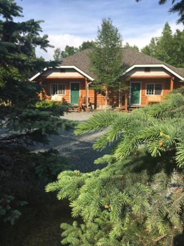 Denali Fireside Cabin & Suites ทัลคีทนา ภายนอก รูปภาพ