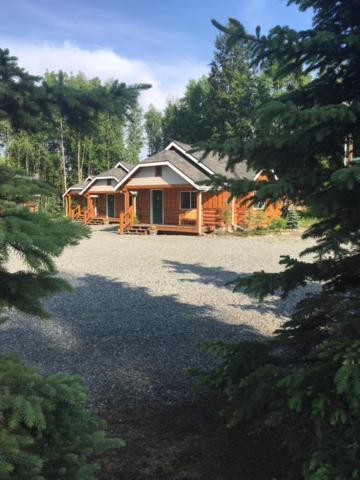 Denali Fireside Cabin & Suites ทัลคีทนา ภายนอก รูปภาพ